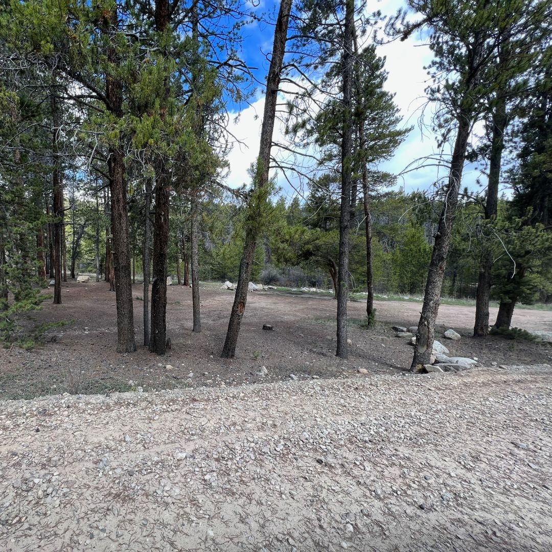 TheNextSummitA1's tweet photo. Halfmoon Road near Leadville is one of my top Colorado camping spots: 2 official USFS campgrounds, plus 50+ free dispersed campsites along the road, all first-come, first-serve. Perfect for camping before hiking Mt Elbert or Massive!
#14ers #ColoradoCamping #MtElbert #MtMassive https://t.co/yk2wr3NjFM