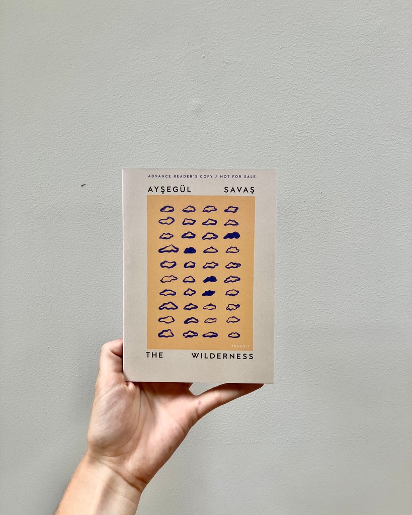 ☁️ Galleys are HERE! ☁️ THE WILDERNESS by @__aysegulsavas__ is almost out in the world. Out this October, PW says THE WILDERNESS is "arresting and deep, and makes for a rewarding entry into the growing pantheon of postpartum literature."⁠
⁠
☁️ transitbooks.org/books/thewilde…