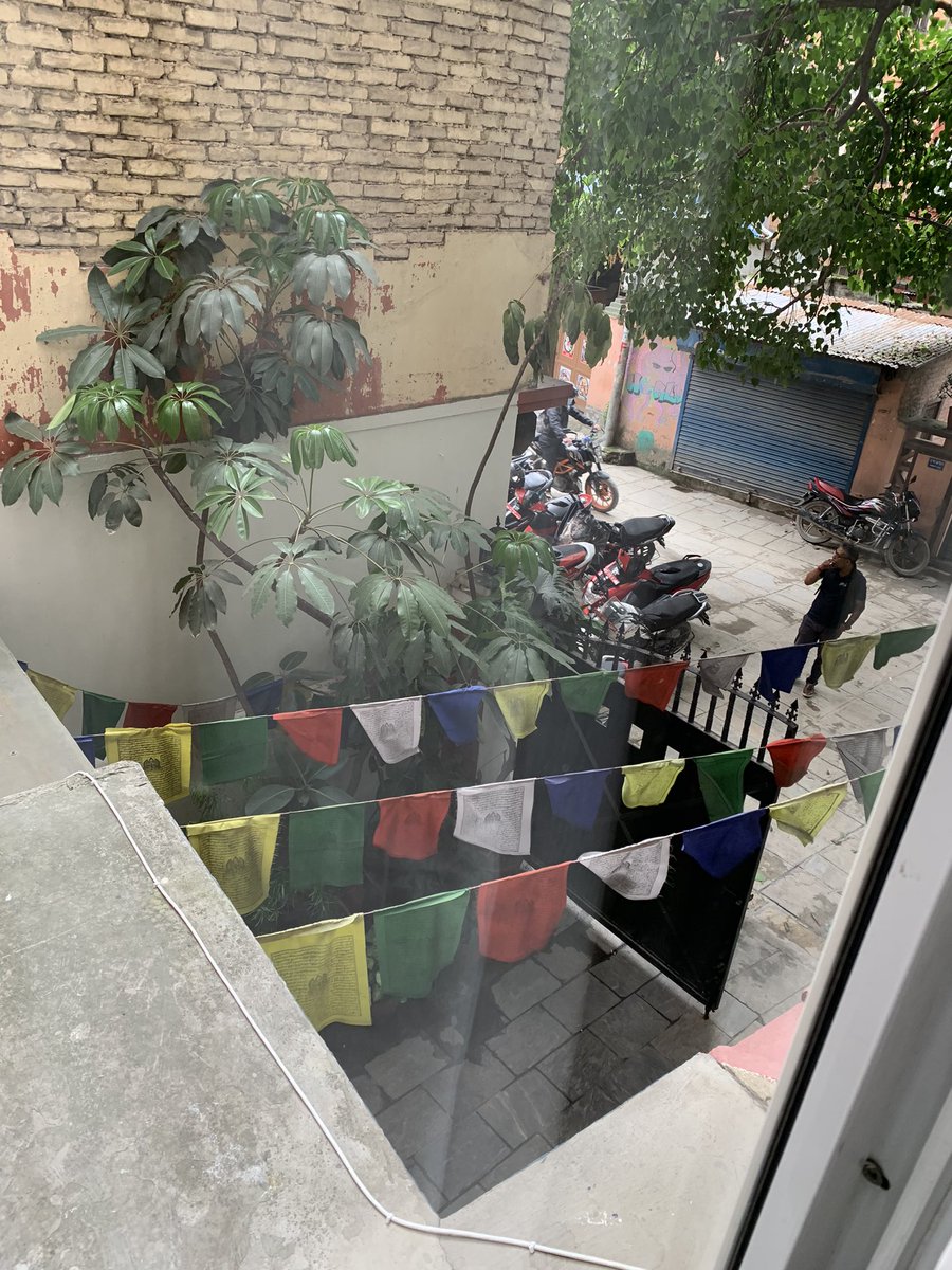 World Challenge at Bolton School Girls' Division tweet media