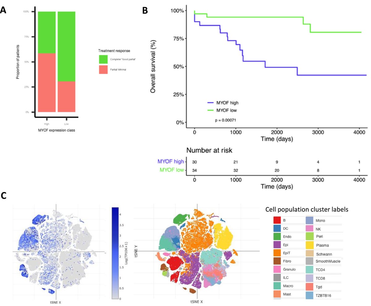 ASTRO (@astro_org) on Twitter photo New in the #RedJournal: Myoferlin: A potential marker of response to radiotherapy and survival in locally advanced rectal cancer. #radonc <a href="/fowler_hayles/">Hayley fowler</a> <a href="/dalevim/">Dale Vimalachandran</a> @livuniISMIB bit.ly/4cmoz3j New in the #RedJournal: Myoferlin: A potential marker of response to radiotherapy and survival in locally advanced rectal cancer. #radonc <a href="/fowler_hayles/">Hayley fowler</a> <a href="/dalevim/">Dale Vimalachandran</a> @livuniISMIB bit.ly/4cmoz3j