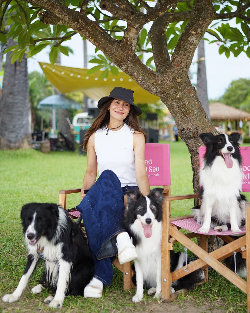 AnnethongCF's tweet photo. 在海边玩耍~ @AnneThong #annethong #annethongprasom #แอนทอง #แอนทองประสม #AnneChineseFamily #AnneChineseFans #AnneChineseFanClub #acf_love_annethong #annethongfc #dekannethong #bordercollie #andy #AndyDog #andygoodboy_official https://t.co/OrckSKYzmT