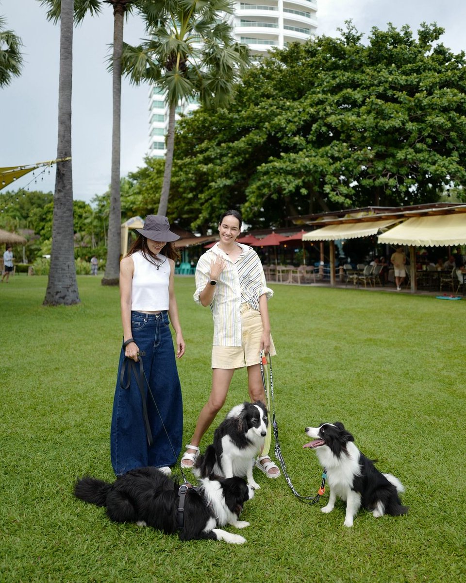 AnnethongCF's tweet photo. 在海边玩耍~ @AnneThong #annethong #annethongprasom #แอนทอง #แอนทองประสม #AnneChineseFamily #AnneChineseFans #AnneChineseFanClub #acf_love_annethong #annethongfc #dekannethong #bordercollie #andy #AndyDog #andygoodboy_official https://t.co/OrckSKYzmT