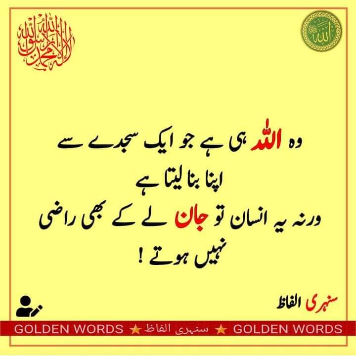 Dr. Mishi tweet media