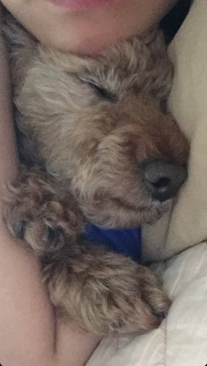 RAD_univ's tweet image. 누나 두고 ~ 혼자 어디갔어 ~