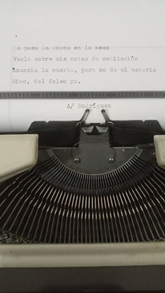 A. Rodríguez 🌵 (@tierrartes) on Twitter photo 