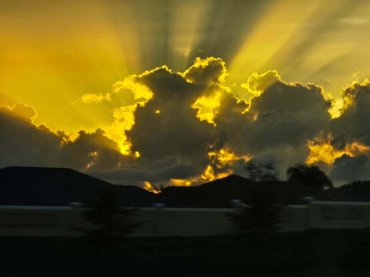 RecipeForWellness tweet media