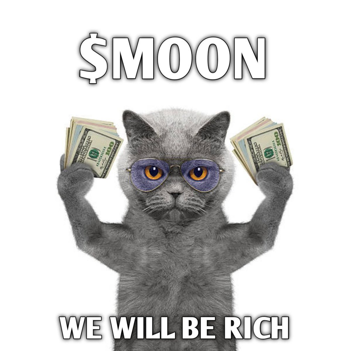 antheeaaw's tweet photo. @catsofwars Such a great step forward to join this strong community #CATSOFWAR @Crypto_Emily @Davincij15 @notsoeasymoney 🔥 https://t.co/aH3mOasU3L
