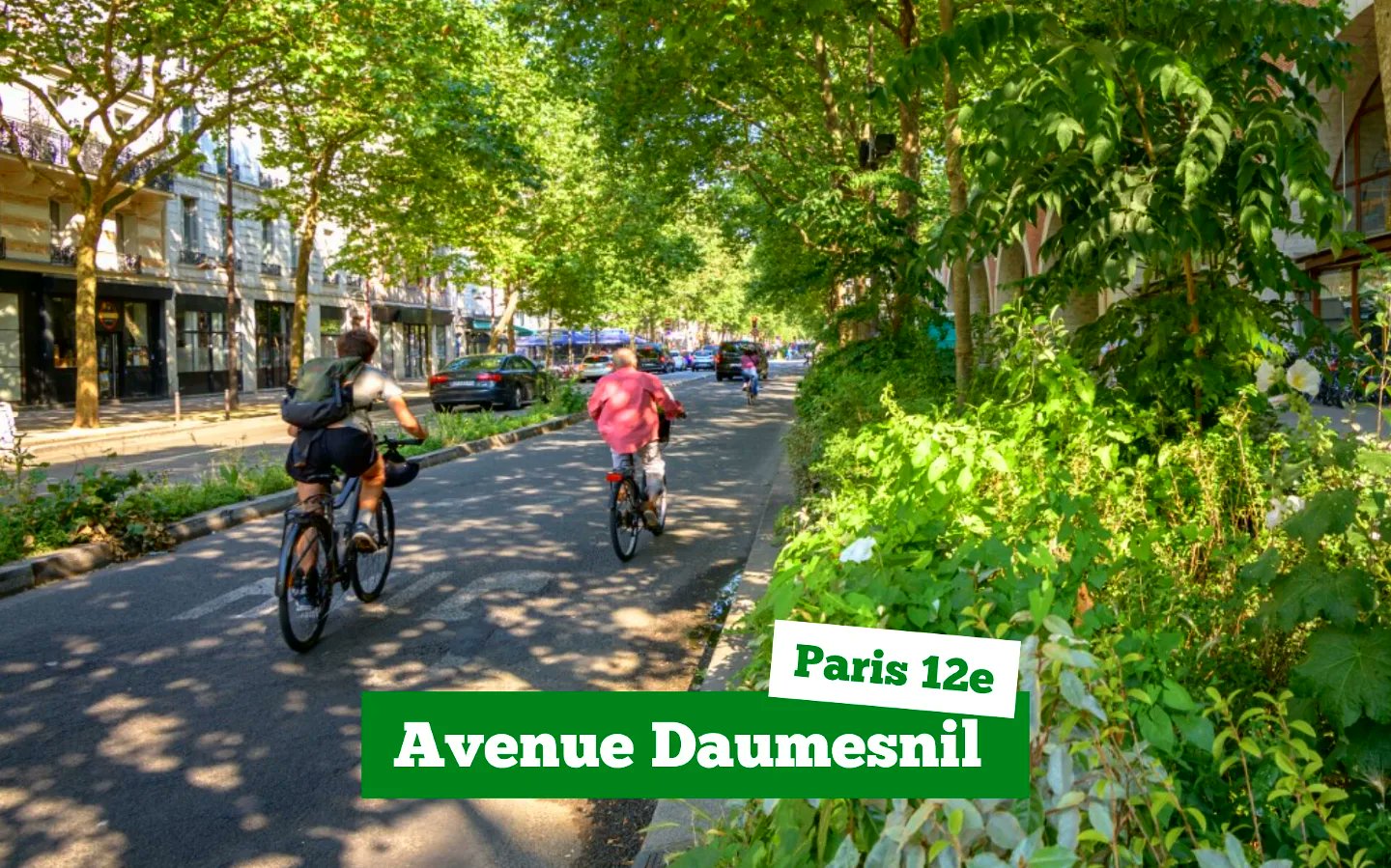 Christophe Najdovski on X Avenue Daumesnil Paris 12e Juin 2024 ParisVilleJardin Frederic Combeau pour parisnature https t MbgalhA1H6 X