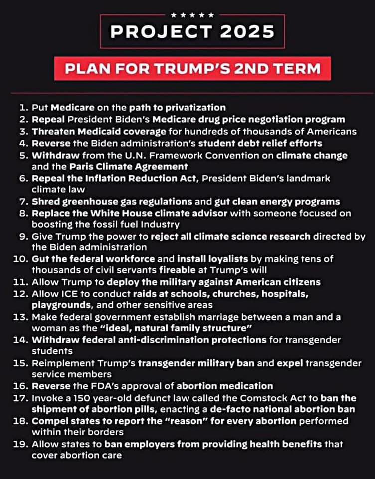 Project 2025 IS on the ballot in November. The ONLY way to stop this is to DEFEAT Donald Trump. This is not hype. This is real.