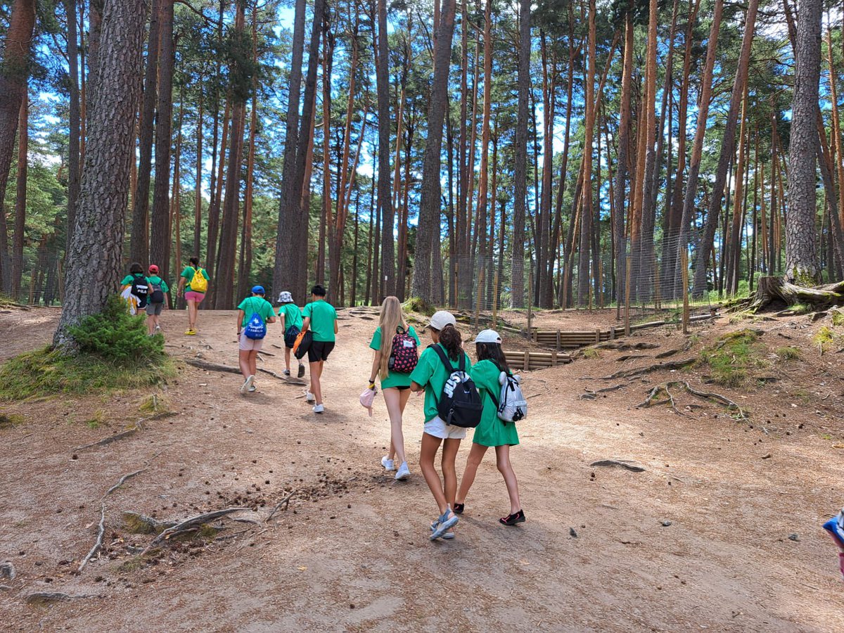 Soc.Esp.Reumatología tweet media