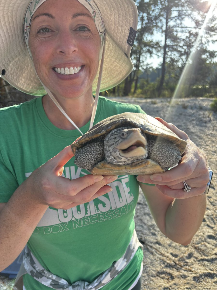Jessica McGlinsey, M.Ed. (@jessmcg99) on Twitter photo #TurtleTuesday 🐢💚 studying how #climatechange is affecting the Diamondback Terrapins of the Chesapeake Bay! <a href="/ClimateGenOrg/">Climate Generation</a> <a href="/GlobalEcoGuy/">Dr. Jonathan Foley</a> <a href="/KHayhoe/">Prof. Katharine Hayhoe</a> <a href="/deepseadawn/">Dr. Dawn Wright + @deepseadawn.bsky.social 🇺🇦</a> <a href="/ProjectDrawdown/">Project Drawdown</a> <a href="/NatGeoEducation/">Nat Geo Education</a> <a href="/ExplorersClub/">The Explorers Club</a> <a href="/kenny_peavy/">kenny peavy</a> <a href="/owensscience/">Beverly Owens, NBCT</a> <a href="/LSKlearning/">Danielle Zélin - Language Mood English Club</a> <a href="/sharma10_jai/">Jai Sharma</a> <a href="/KipHottman/">Kip Hottman, NBCT</a> #TurtleTuesday 🐢💚 studying how #climatechange is affecting the Diamondback Terrapins of the Chesapeake Bay! <a href="/ClimateGenOrg/">Climate Generation</a> <a href="/GlobalEcoGuy/">Dr. Jonathan Foley</a> <a href="/KHayhoe/">Prof. Katharine Hayhoe</a> <a href="/deepseadawn/">Dr. Dawn Wright + @deepseadawn.bsky.social 🇺🇦</a> <a href="/ProjectDrawdown/">Project Drawdown</a> <a href="/NatGeoEducation/">Nat Geo Education</a> <a href="/ExplorersClub/">The Explorers Club</a> <a href="/kenny_peavy/">kenny peavy</a> <a href="/owensscience/">Beverly Owens, NBCT</a> <a href="/LSKlearning/">Danielle Zélin - Language Mood English Club</a> <a href="/sharma10_jai/">Jai Sharma</a> <a href="/KipHottman/">Kip Hottman, NBCT</a>