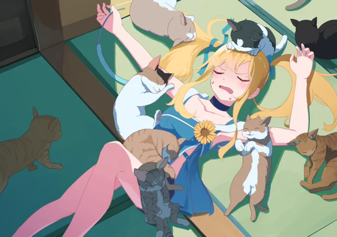 猫布団 