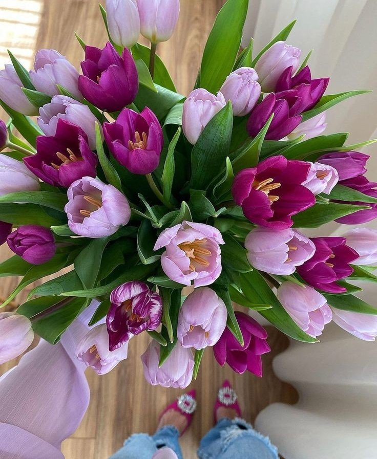 Ⓕⓛⓞⓦⓔⓡⓢ (@tuliipslove) on Twitter photo 