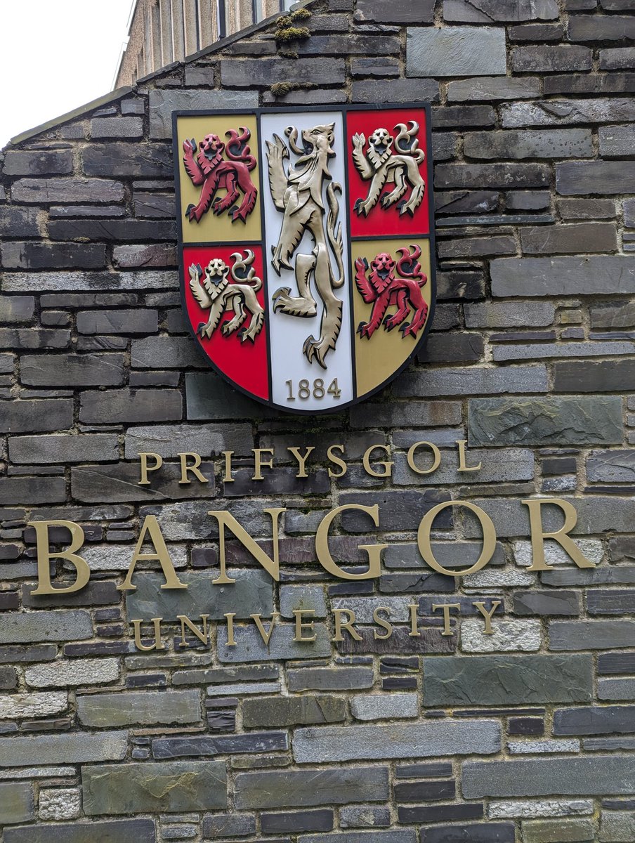 Llongyfarchiadau ENFAWR i holl fyfyrwyr y radd Cymdeithaseg a Pholisi Cymdeithasol <a href="/prifysgolbangor/">Prifysgol Bangor</a> sy'n graddio heddiw. Mor falch o'ch llwyddiant! Pob lwc i chi yn y dyfodol! #cymraeg <a href="/SHiLSSBU/">School of History, Law & Social Sciences Bangor</a>