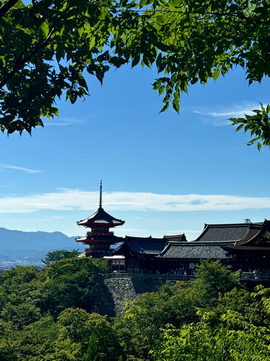 xo_amrita's tweet photo. 📍Kyoto https://t.co/2TsBg8Q28t