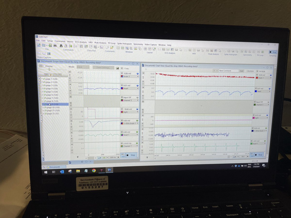 So happy to have measured a clear visual evoked response in the “EEG” from the frontal ganglion of Canadian lobsters after two weeks of experiments🧠🦞! Such a fruitful collaboration with 
with <a href="/rLorenzo0810/">Rodrigo Lorenzo</a>! Union makes strength!
