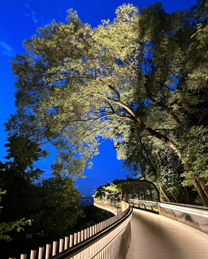 夕日を見るのに良い日を選んでください🌄