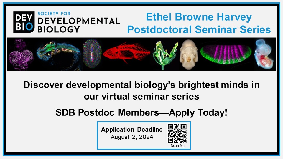 SocDevBio's tweet image. Applications are open for speakers in the SDB Ethel Browne Harvey Postdoctoral Seminar Series! Submit your abstract today. SDB Postdoc membership required. Deadline: August 2, 2024. #SDBPostdocSeminar #DevBio #Postdocs
sdbonline.org/sdb_postdoctor…