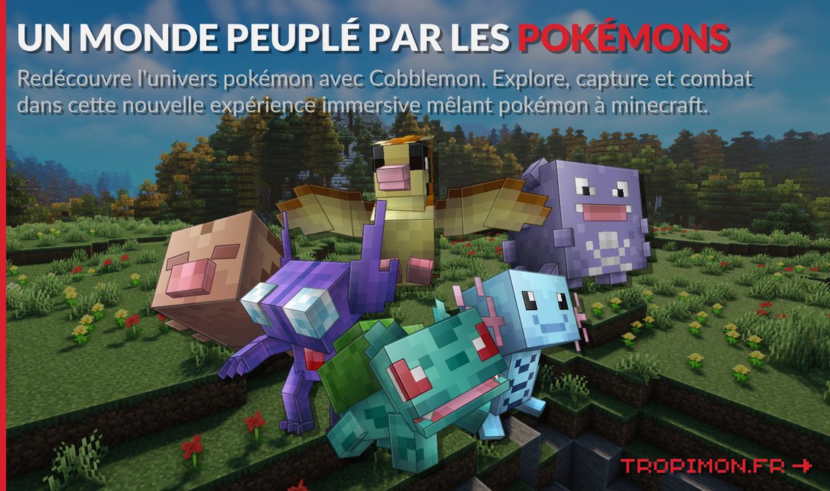 Tropimon tweet media