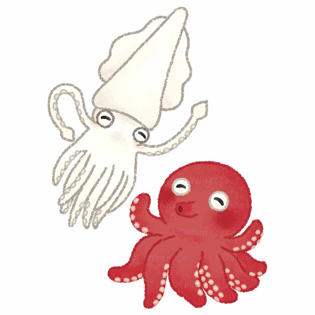 ＼お仕事のお知らせ／
がくしゅうメイト すきっぷ 7月号・ おりがみページのイラストを制作しました！（株式会社メイト）
スキューバーダイビング中のうさぎさんが、タコさんみーっけ！🐙
…と思ったら、イカさんもやってきました🦑

#イラストレーター #illustration #イラスト