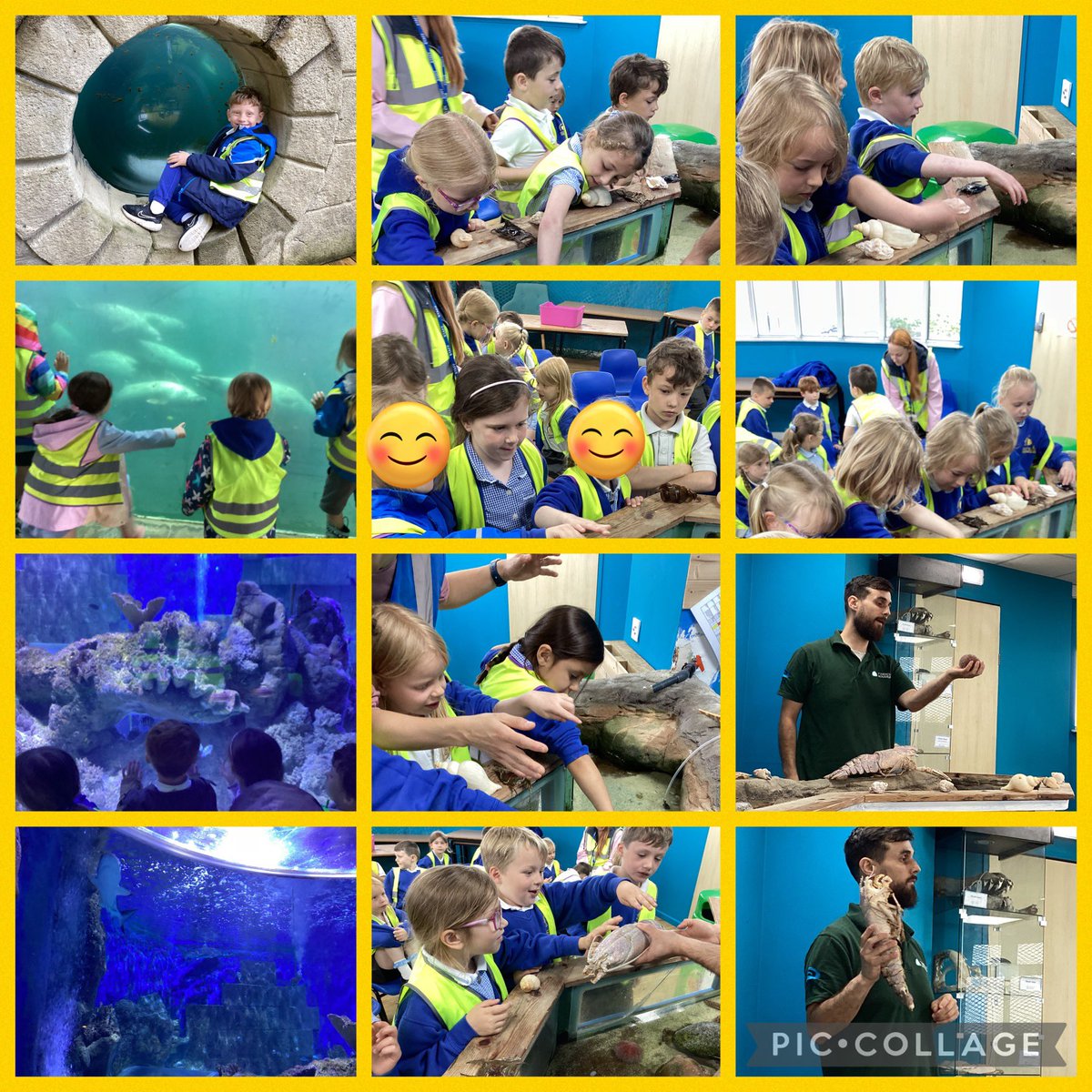 CpsYear1's tweet photo. An incredible day out at  Tynemouth Aquarium 🐠🐚🦀🐡🐠🐟Well done Y1LE 🏆🏆 https://t.co/iRmHGNM4x1