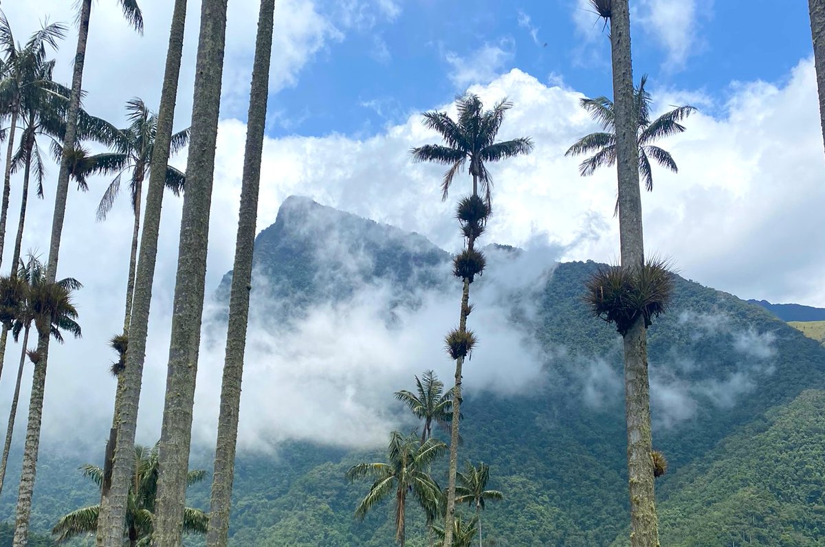WanderingwithAl's tweet photo. My One Month Colombia Backpacking Itinerary: https://t.co/YSTil0Pngd

#colombia #backpacking #travelling #traveler #traveling #traveller #travelblog #travelblogger #travelblogging #bogota #medellin #coffee #foodtour #foodblog #travelinspo #instatravel https://t.co/w2Xj6uB5Pr