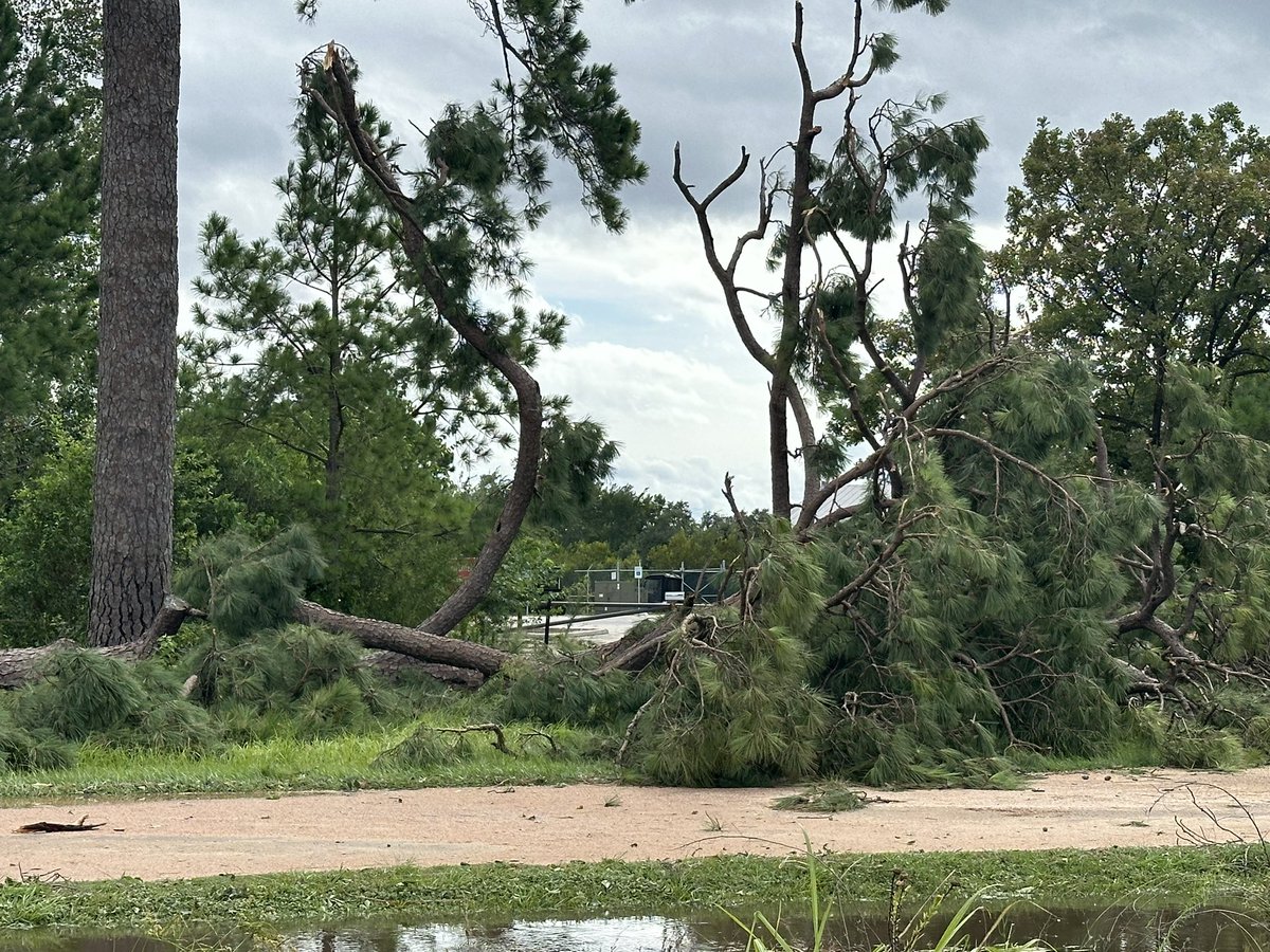 This is the 3rd time in a year that the residents of Houston have lost power for  days. Each time we experience lost work, lost wages, lost food, and what’s worse: lost lives. It’s time for our politicians and utility providers to be accountable for implementing solutions.