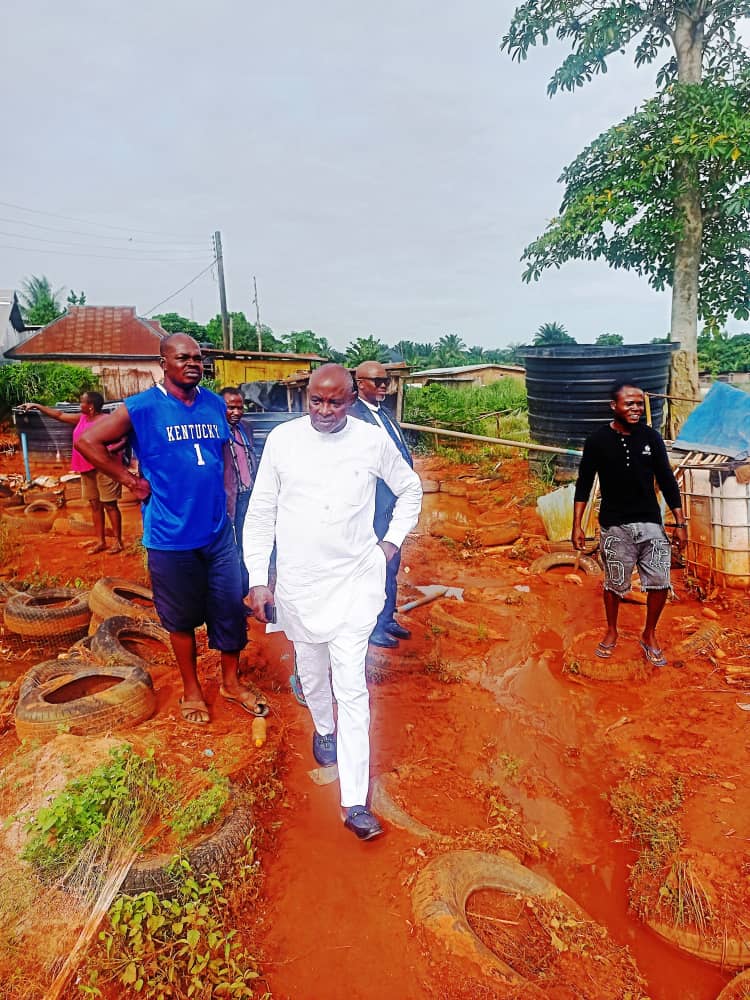 EdoSmafs's tweet photo. COMMISSIONER SYMPATHIZES WITH UTEH FISH FARMERS
by Okojie Francisca

The Edo State Commissioner for Agriculture and Food Security, Hon. Stephen Idehenre has sympathized with farmers in Uteh Fish Farm Clusters in ...

See More on our Facebook Page, link in the bio.... https://t.co/SVWwF3AQ1G