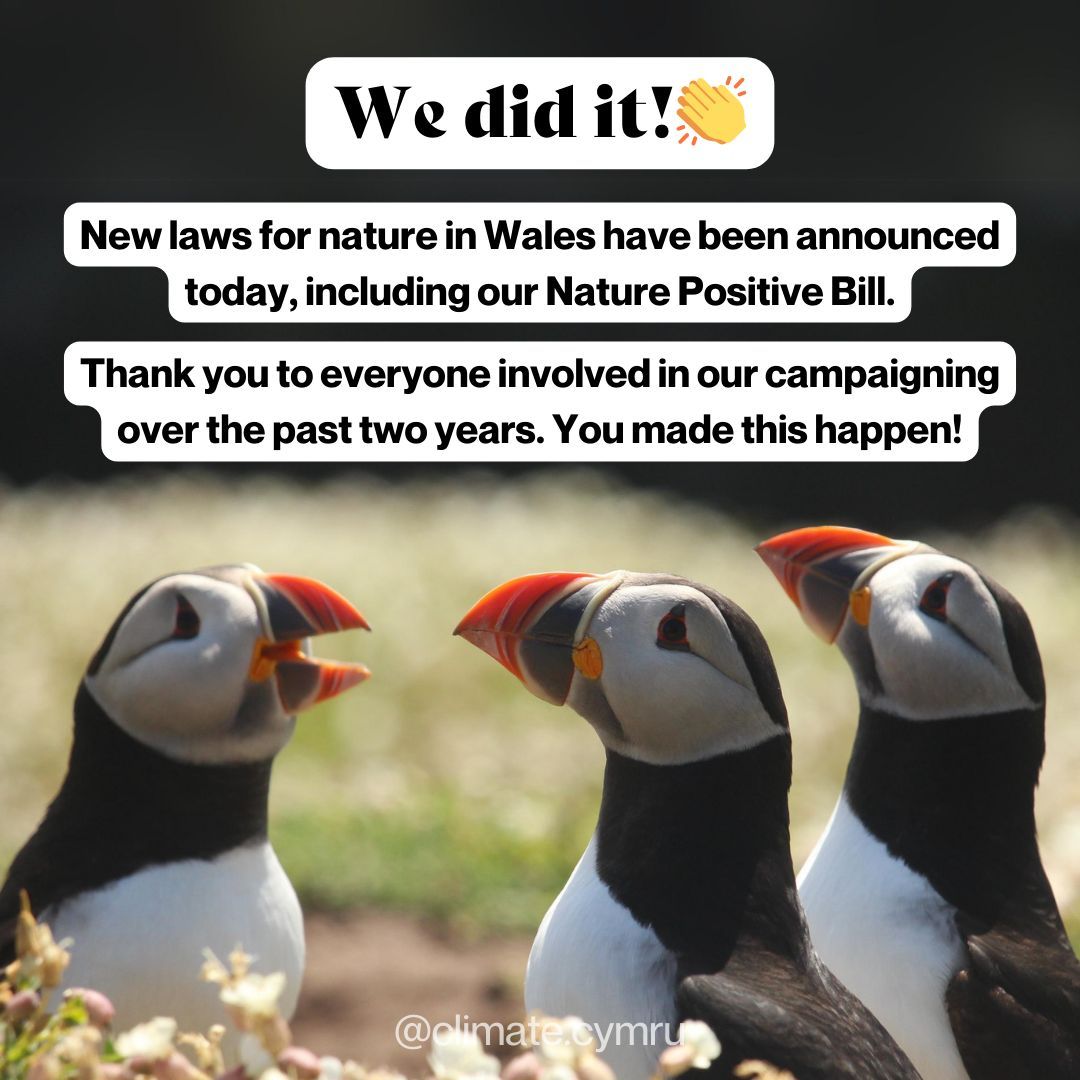 We did it!🥳

New laws for nature in Wales have been announced today as Vaughan Gething announced The Sennedd’s legislative programme for 2024-25. This included the Environment and Biodiversity Bill aka The Nature Positive Bill.

(🧵1/4)