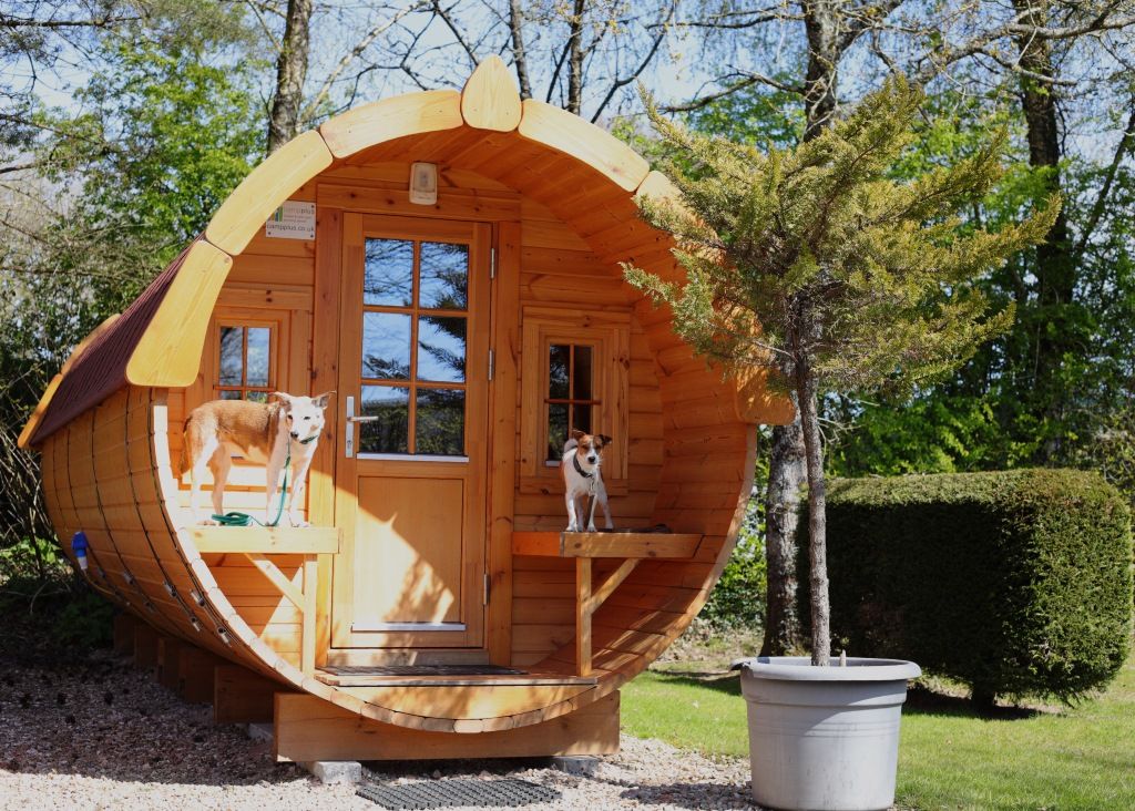 Oakdown Holiday Caravan Park near Sidmouth offers the perfect getaway to unwind and recharge.

🐶 Welcomes dogs and small pets 🐾
weacceptpets.co.uk/Devon/7195

<a href="/OakdownHolidays/">Oakdown Caravan Holidays</a> #Devon #HolidayPark #LuxuryTravel #Camping #Glamping #AwardWinning #Nature #FamilyFriendly #Sidmouth