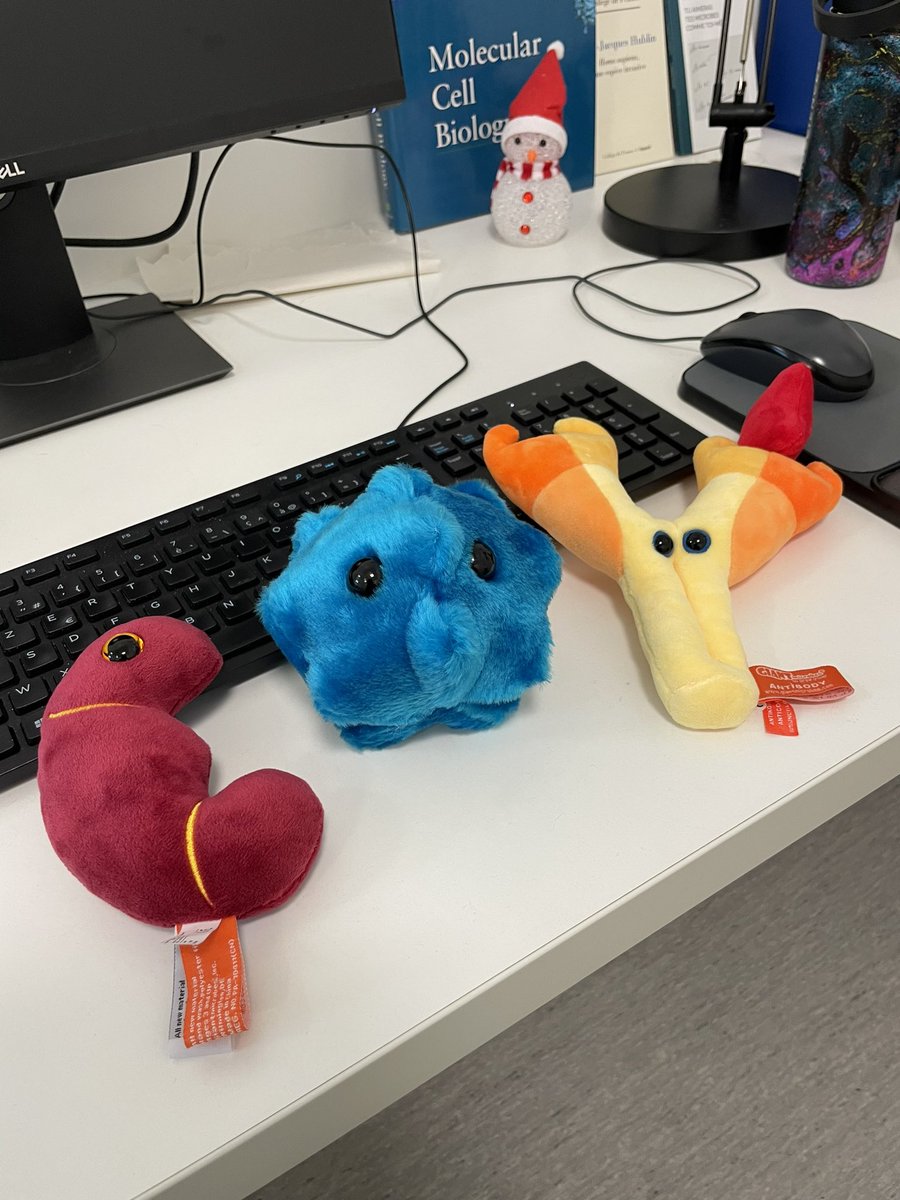Guillaume Frasca (@g_frasca) on Twitter photo Such a great gift from my former colleagues of the departments @DevStem_Pasteur <a href="/ImmunoPasteur/">ImmunoPasteur</a> & <a href="/BCI_Pasteur/">Cell Biology & Infection</a> 🥰 Such a great gift from my former colleagues of the departments @DevStem_Pasteur <a href="/ImmunoPasteur/">ImmunoPasteur</a> & <a href="/BCI_Pasteur/">Cell Biology & Infection</a> 🥰