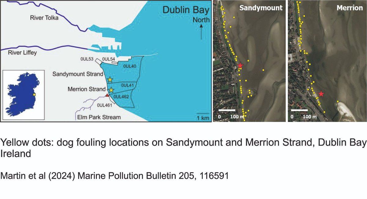 me (@wimgmeijer) on Twitter photo Our paper quantifying fecal contamination of Dublin Bay by birds, dogs and urban streams polluted by sewage is out!
@NiamhMartin9 <a href="/laurasalamicro/">laura sala</a> <a href="/TrisNolan/">Tristan Nolan</a> <a href="/liamrey/">liam</a> <a href="/JStephens620/">Jayne Stephens</a> <a href="/UCD_SBBS/">UCD SBBS</a> <a href="/UCD_OneHealth/">One Health Research</a> <a href="/AcclimatizeEU/">Acclimatize 2</a>
sciencedirect.com/science/articl… Our paper quantifying fecal contamination of Dublin Bay by birds, dogs and urban streams polluted by sewage is out!
@NiamhMartin9 <a href="/laurasalamicro/">laura sala</a> <a href="/TrisNolan/">Tristan Nolan</a> <a href="/liamrey/">liam</a> <a href="/JStephens620/">Jayne Stephens</a> <a href="/UCD_SBBS/">UCD SBBS</a> <a href="/UCD_OneHealth/">One Health Research</a> <a href="/AcclimatizeEU/">Acclimatize 2</a>
sciencedirect.com/science/articl…