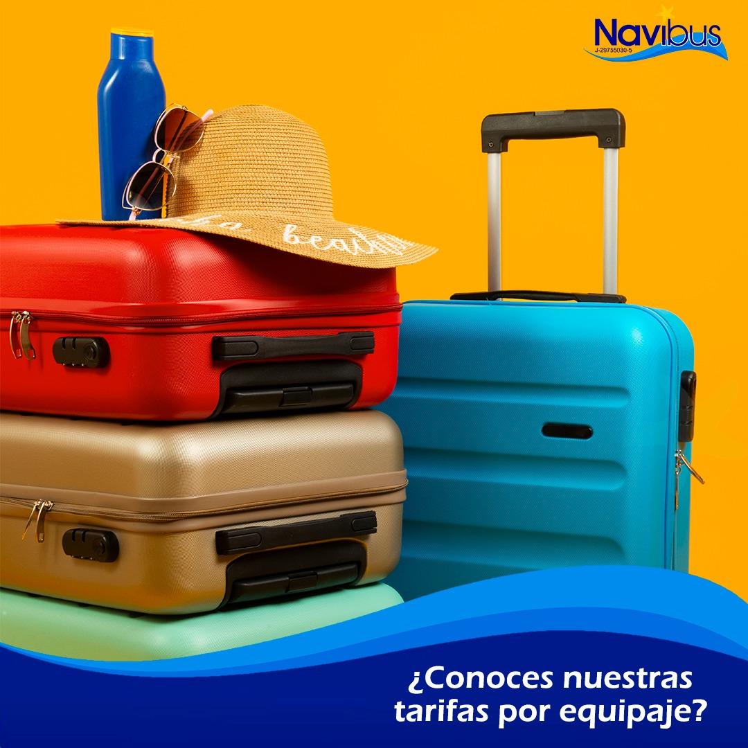 Navibus tweet media
