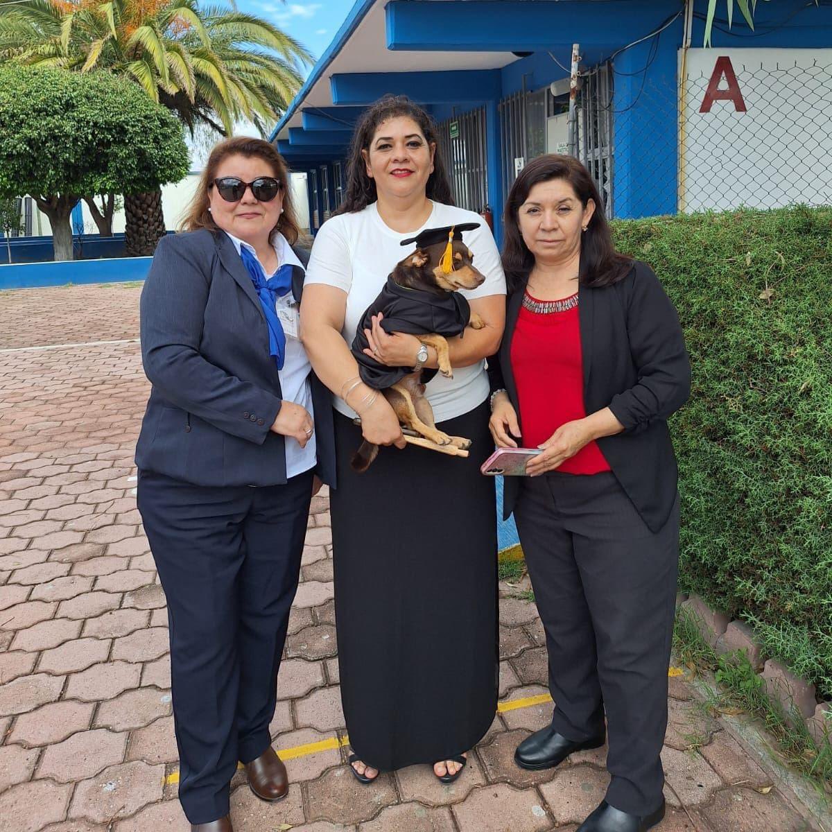 perros_shidoris's tweet photo. Al Colegio de Estudios Científicos y Tecnológicos del Estado de Guanajuato (Cecyteg) llegó un perrito llamado Canelo en busca de algo que comer.

Afortunadamente fue muy bien recibido en el plantel, pues fue adoptado y tanto personal estudiantil como docentes lo tratan como alguien muy especial al grado de graduarse junto a los estudiantes.

Aunque aún existen reportes que aún debe 3 materias y reprobó una por faltas pero por ser el consentido del plantel se lo pasaron. ❤️