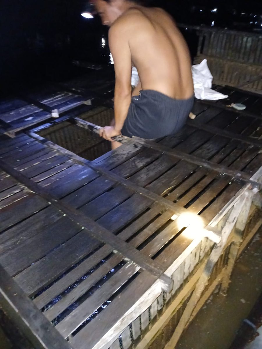 MAIYOGUNNADI's tweet photo. Selasa,9/7/2024, Maiyo.Gunnadi,S.Pi, Luhkan Kab. Hulu Sungai Utara,kegiatan panen nila 65 kg harga Rp 35.000/kg dikeramba Wahyuni Anggota Pokdakan Salanting Ds Palampitan Hilir Kec.Amuntai Tengah
#GiatLuhkanSatminkalBWI
#hulusu #panen
#Luhlapor https://t.co/o40zW8U1rO