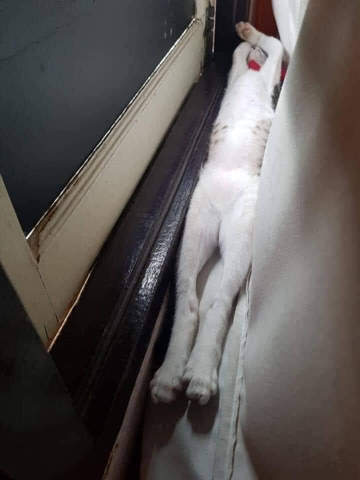 The day has come to an end, so let's sleep. Sweet dreams, everyone! See you tomorrow!"