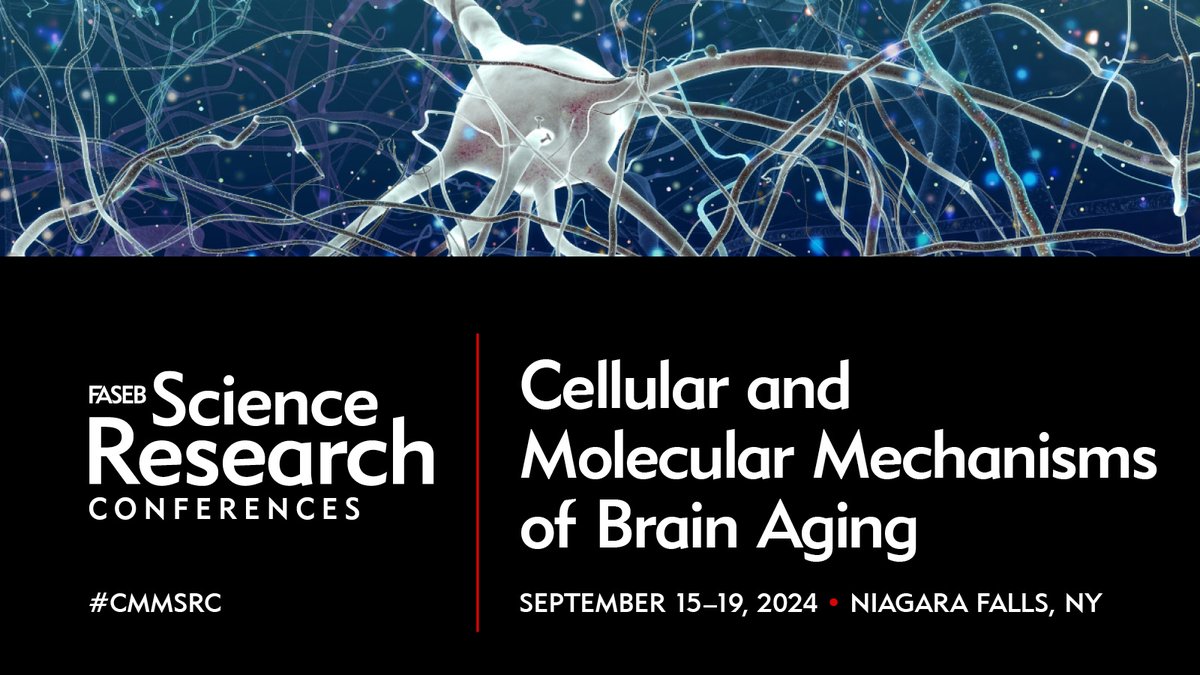 FASEBorg's tweet photo. Unveil the secrets of the brain at this year's #CMMSRC. Join organizers @AndersonRozalyn, @HollyBrownBorg1, and @VilledaLab for an amazing new conference on this groundbreaking topic. Submit your own research by July 21 and save your space: https://t.co/TlLsGEqByS https://t.co/iHO5IvSn8u