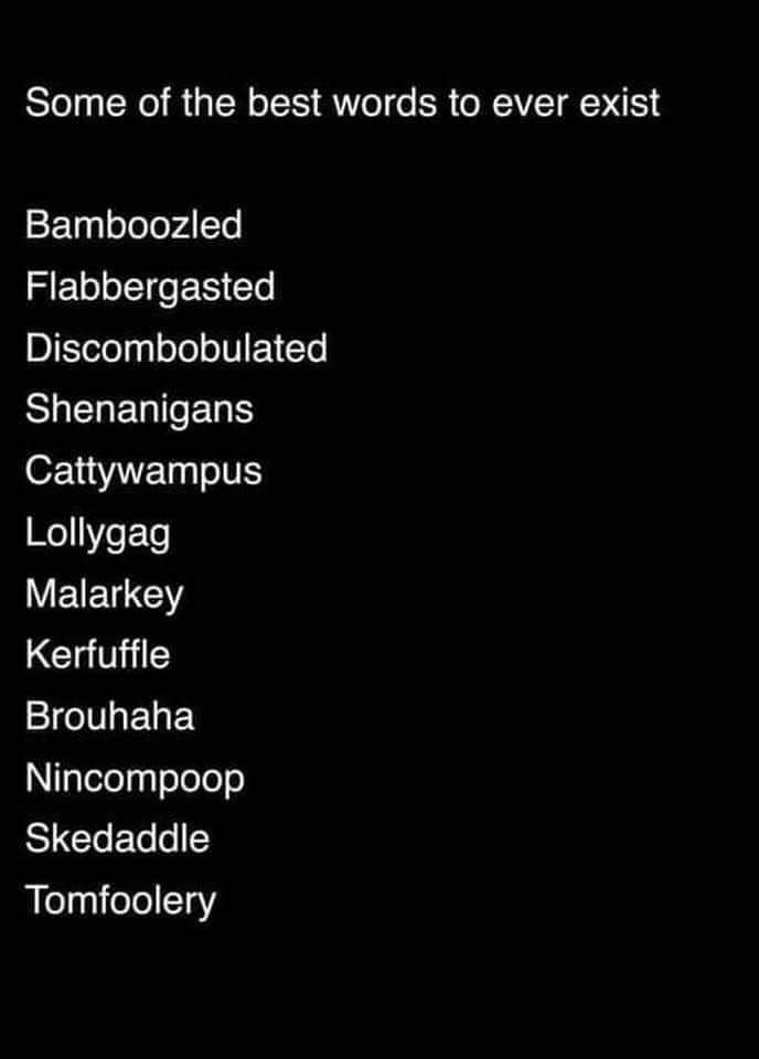 BeckiBeck17's tweet photo. @HarvickHappyPod found a list of words that @KevinHarvick may be able to use on the broadcast next year! I know some were used already, but others could work well! https://t.co/ZfcKn9o9NU