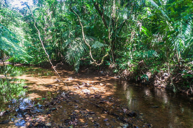 LAST CALL! #LCAOF is looking for entry-level Program Assistant to support ops &amp; admin of our global #CBNRM #biodiversityconservation grantmaking portfolio - great position for an organized, adaptable, passionate, early-career professional. Closes July 12 lcaof.org/employment