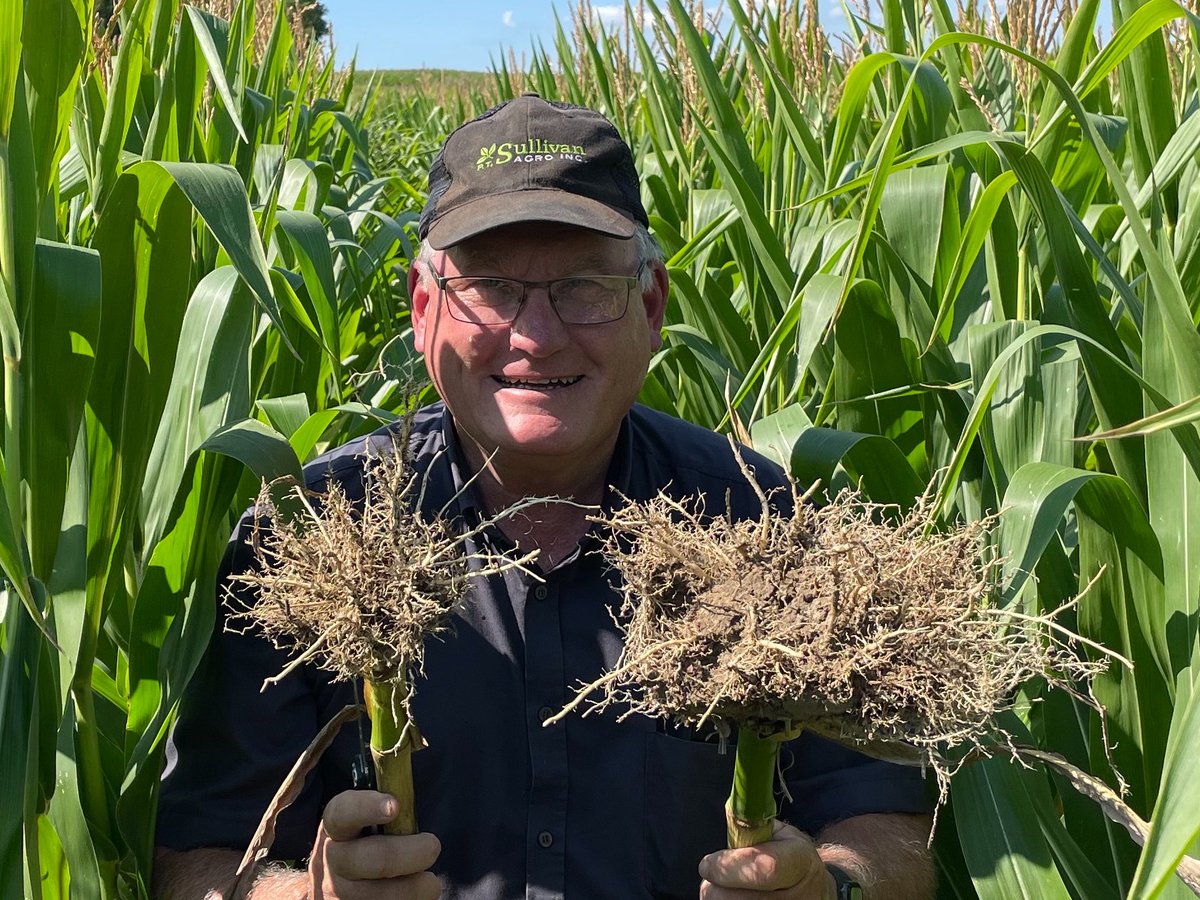Bernard Tobin (@agbern) on Twitter photo Growing corn like wheat! Is <a href="/SullivanAgro/">Paul Sullivan</a> off his rocker? Absolutely not. There are plenty of wheat management ideas that could benefit the King of crops. Check out our chat on Corn School <a href="/realagriculture/">RealAgriculture</a> tinyurl.com/f3cy3492 Growing corn like wheat! Is <a href="/SullivanAgro/">Paul Sullivan</a> off his rocker? Absolutely not. There are plenty of wheat management ideas that could benefit the King of crops. Check out our chat on Corn School <a href="/realagriculture/">RealAgriculture</a> tinyurl.com/f3cy3492