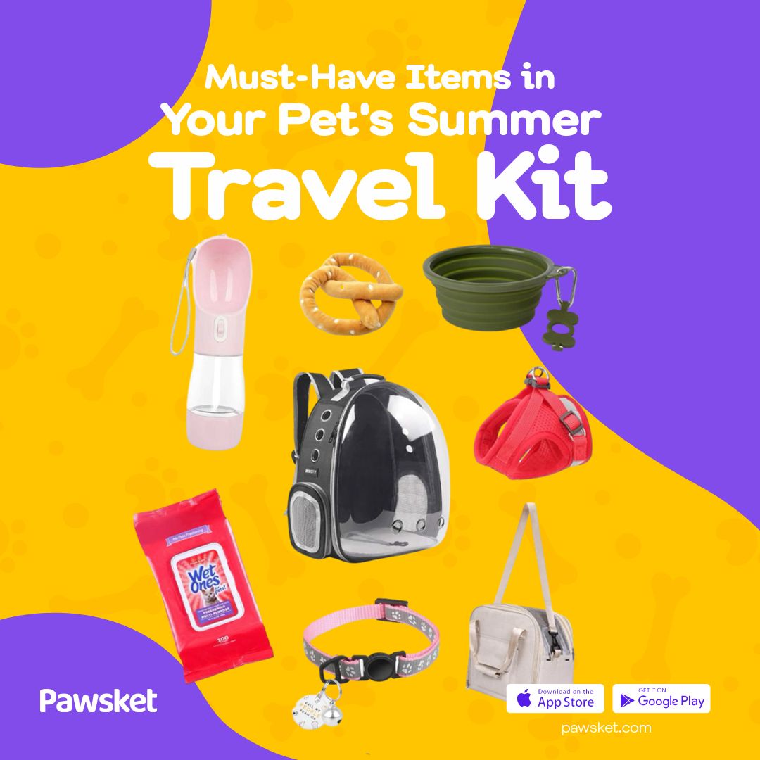pawsket's tweet photo. Essentials of your summer vacation for your little baby😍😍 https://t.co/8eaIl1jcSw