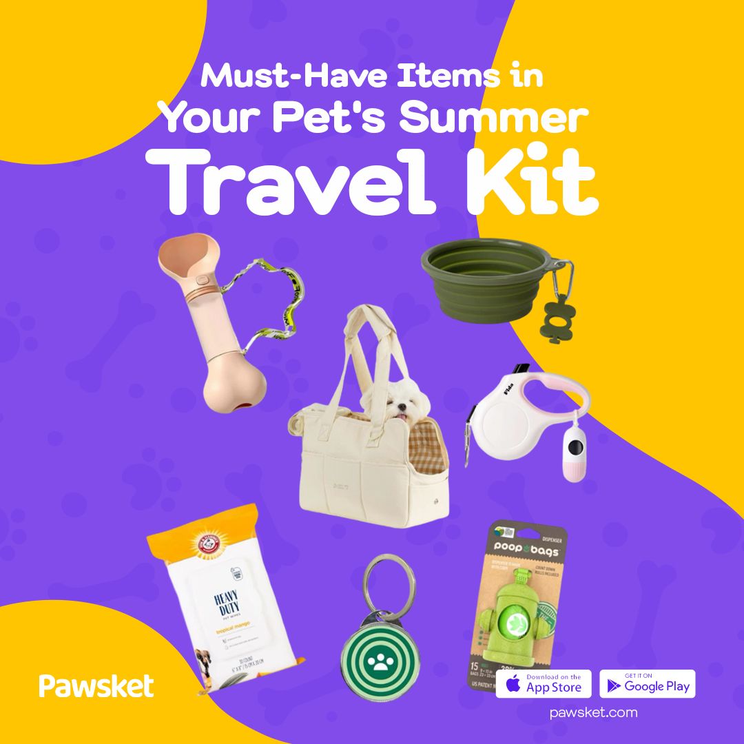 pawsket's tweet photo. Essentials of your summer vacation for your little baby😍😍 https://t.co/8eaIl1jcSw