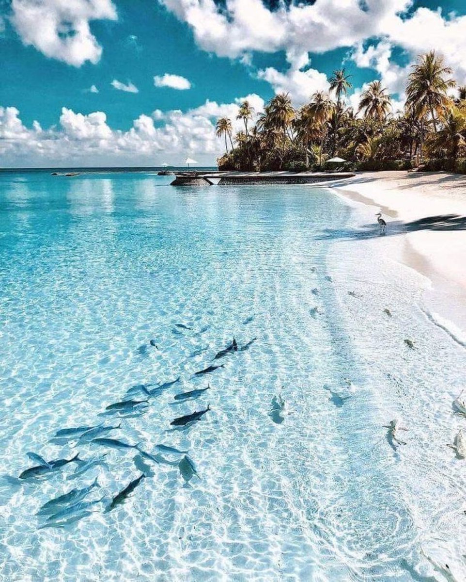 Maldives