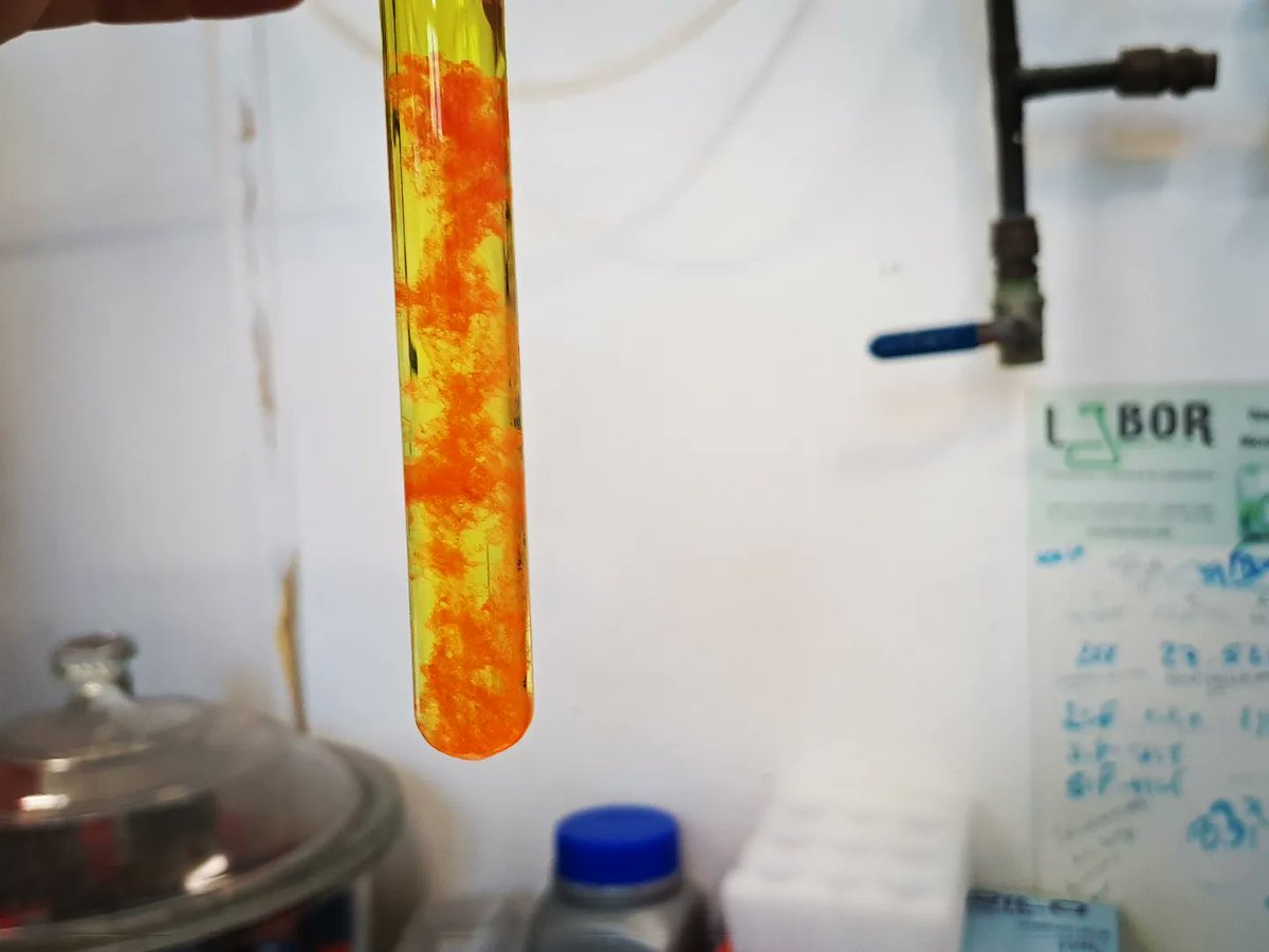 CarinaCrucho's tweet photo. For today's #TestTubeTuesday, I have a test tube with a precipitated solid arranged like DNA. Nature's helix making an appearance in the lab! 🧪 #organicchemistry #womeninscience #womeninstem #LabMagic #DNA https://t.co/FCyBxfyvW0