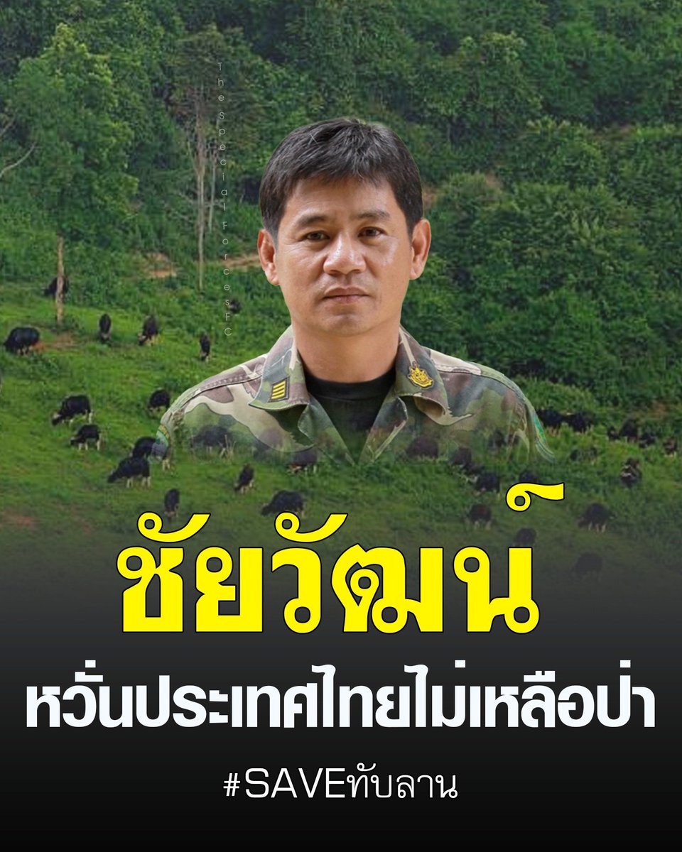 ThaiSF2013's tweet photo. #ชัยวัฒน์ แฉ นักการเมืองหัวหมอใช้ช่องว่างกฎหมาย เฉือนป่าทับลาน ชี้เป็นแค่โมเดล มีขบวนการจ้องเขมือบเป็นสเต็ป “เสม็ด- สิรินาถ ภูเก็ต-เกาะช้าง” หวั่นอนาคตประเทศไทยไม่เหลือป่า

#Saveทับลาน
ที่มา : https://t.co/WRQU147K5P https://t.co/GUVirAnXIH