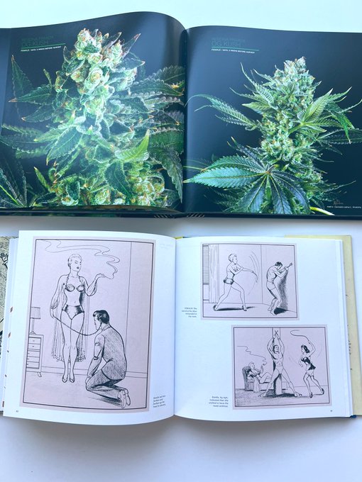 A few of my favorite things is not only a wonderful gift, but also a thoughtful first impression ✨ https://t