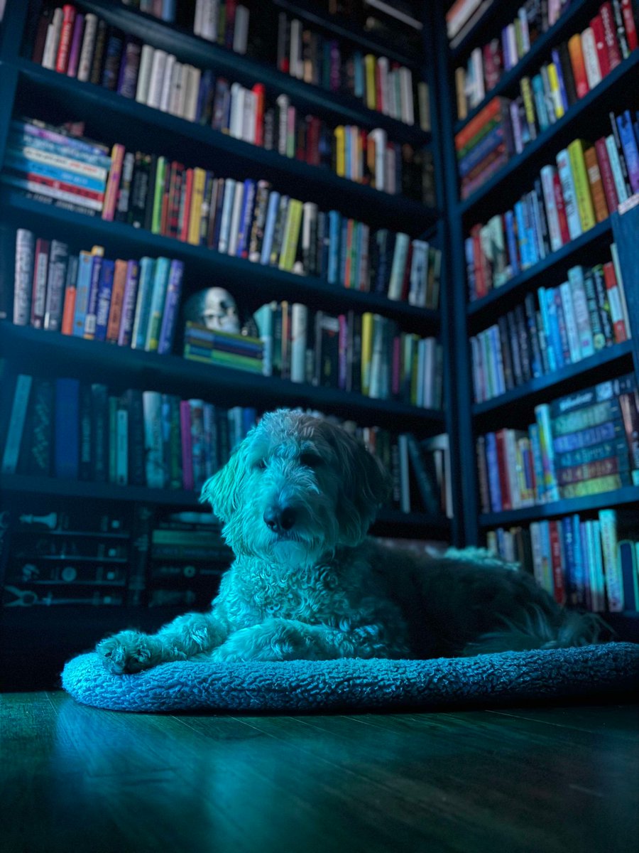 Meriam Metoui 🇵🇸 tweet media