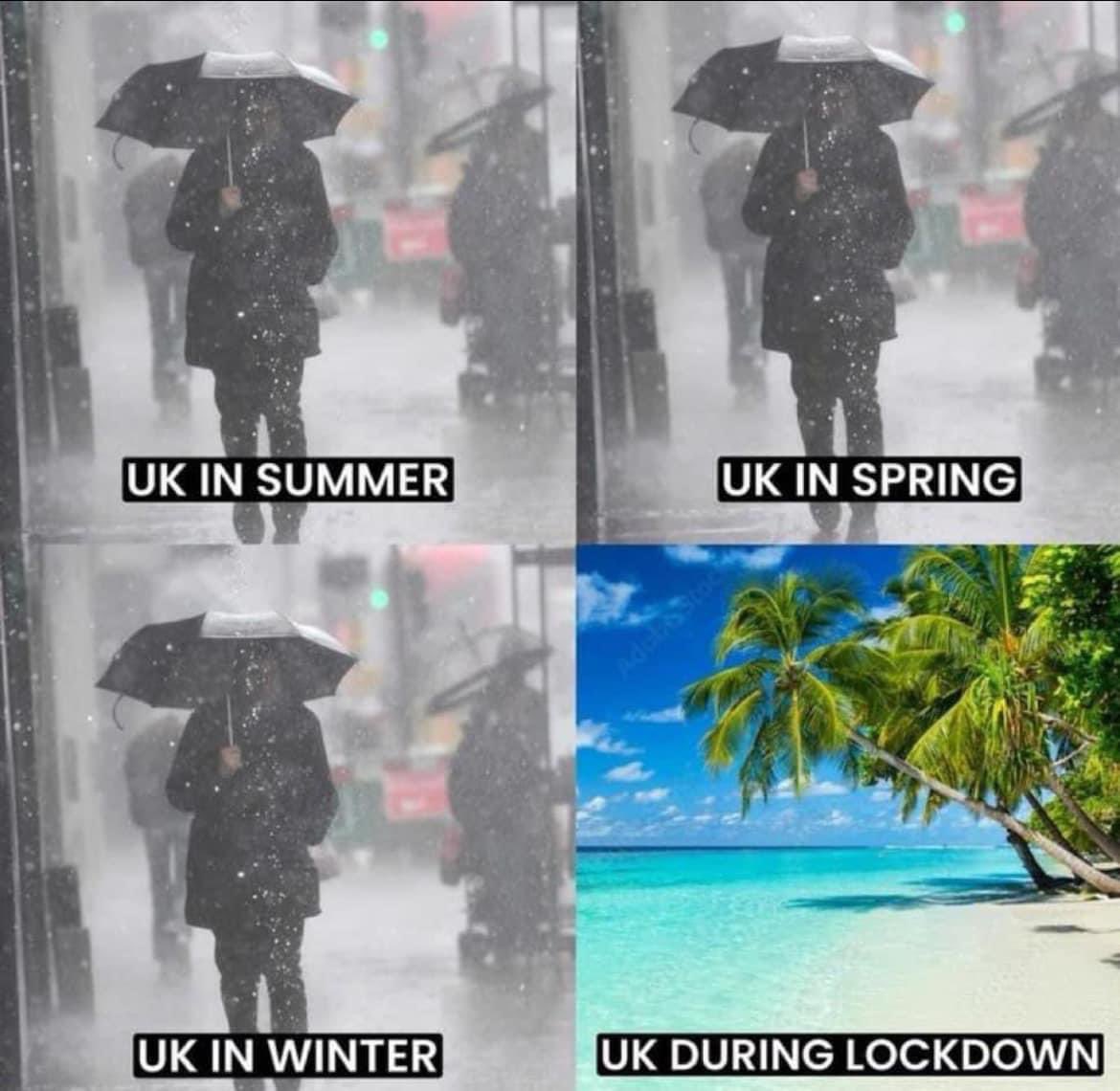CaliforniaFrizz's tweet photo. Ainโt that but the truthโฆ.. https://t.co/AmyUBZtwZ3