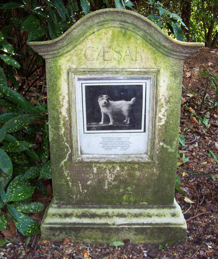 DeadPetGirls's tweet photo. Obsessing over Queen Alexandra’s pet cemetery at Marlborough House in London, the cameos portraits are sooo chic! 🐩💖 https://t.co/JN4hkxu33H