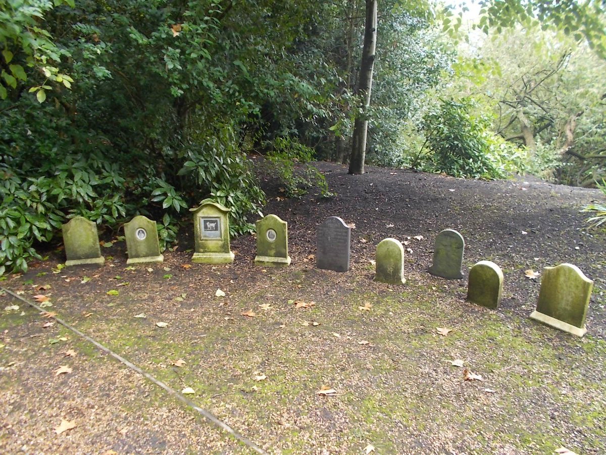 DeadPetGirls's tweet photo. Obsessing over Queen Alexandra’s pet cemetery at Marlborough House in London, the cameos portraits are sooo chic! 🐩💖 https://t.co/JN4hkxu33H